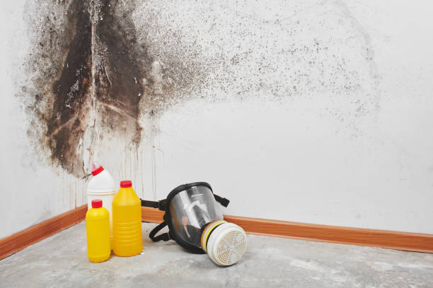 Best Crawl Space Mold Removal  in Vernal, UT