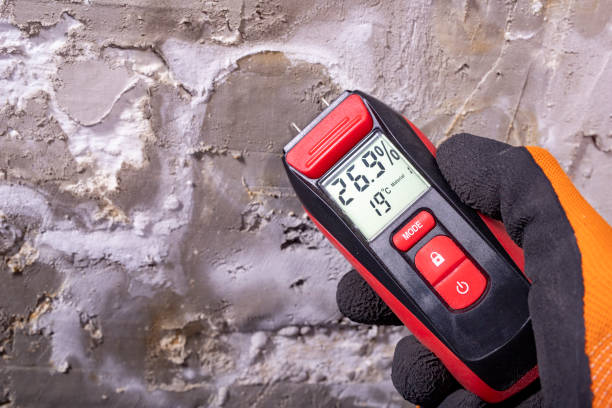 Best Toxic Mold Removal  in Vernal, UT